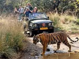 Golden triangle tour with Ranthambore