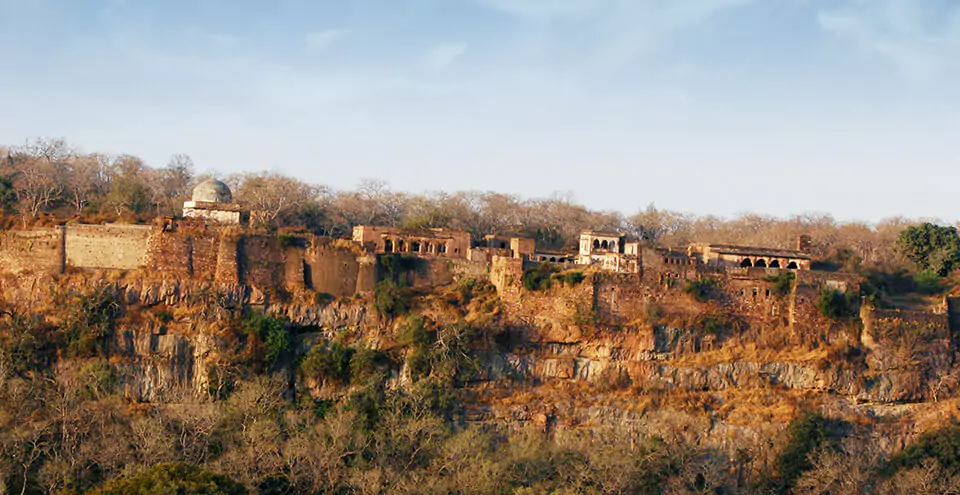 Golden triangle tour with Ranthambore