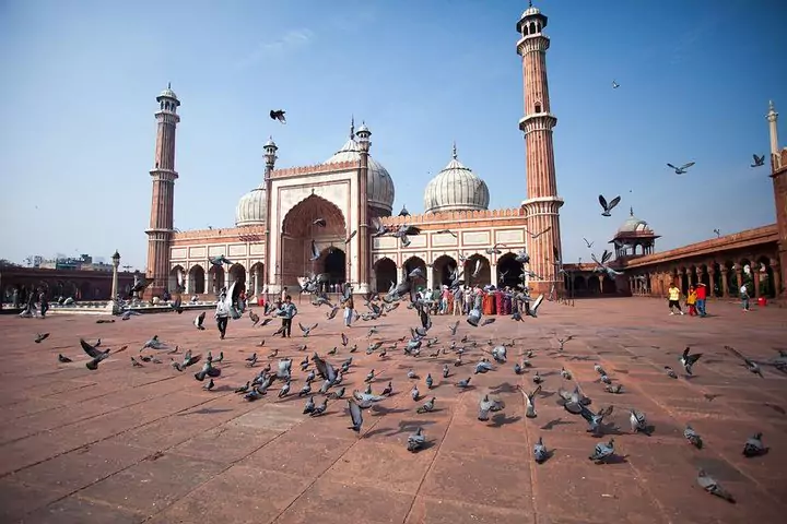 Private Old and New Delhi City Tour 8 Hours